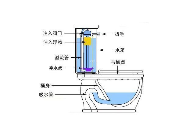 马桶排水阀结构图图片